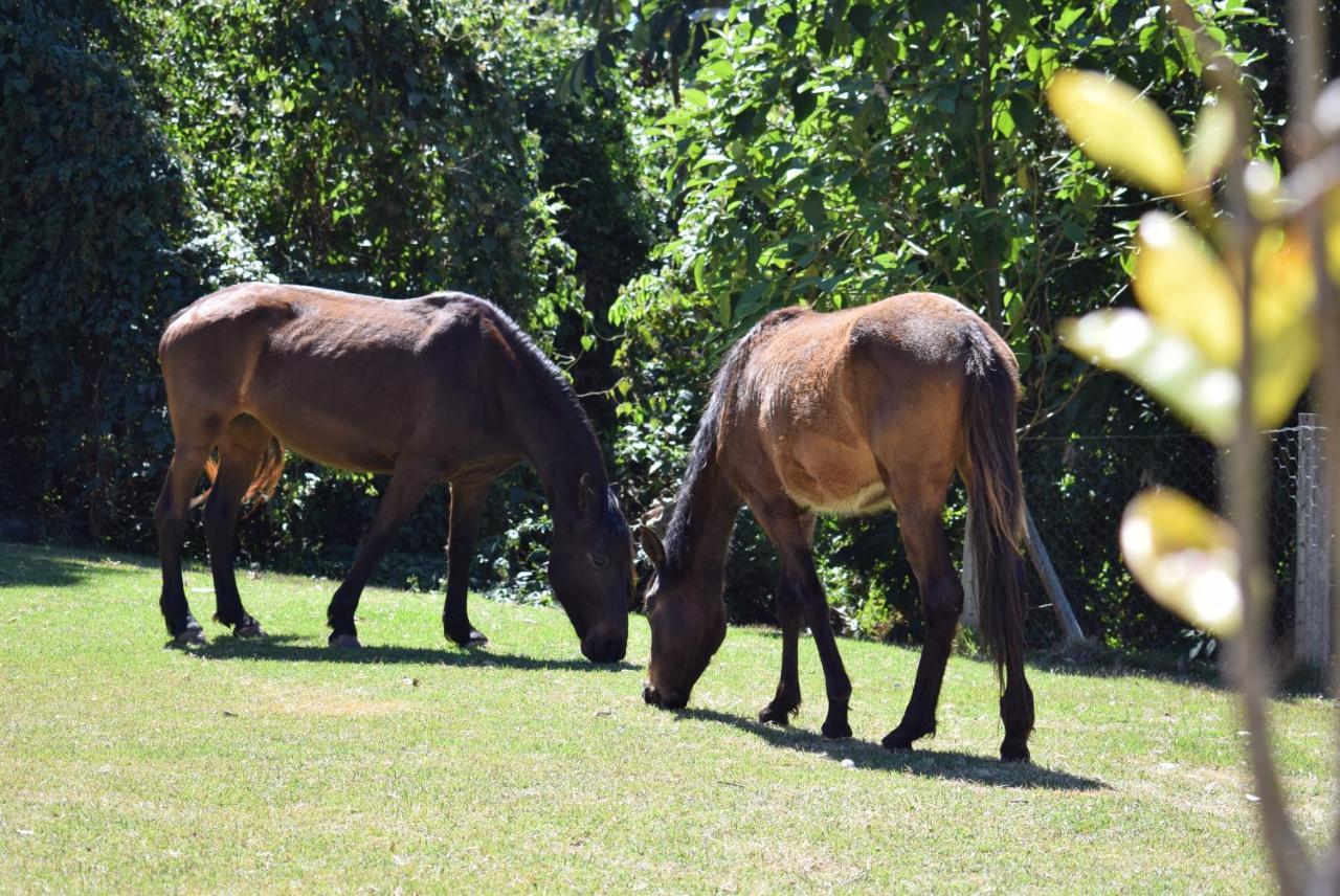 Pousada Appaloosa Águas de Lindóia 外观 照片